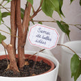 Charger l'image dans la visionneuse de la galerie, Semer de belles idées – pique-plante