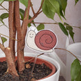 Charger l'image dans la visionneuse de la galerie, Pique-plante escargot
