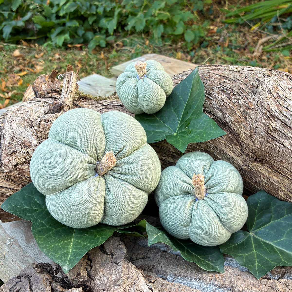 Citrouille déco