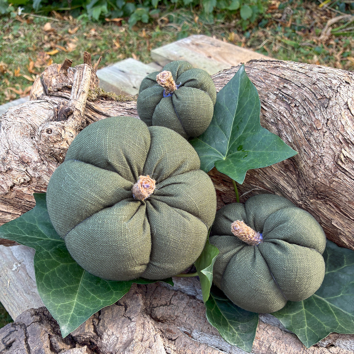 Citrouille déco