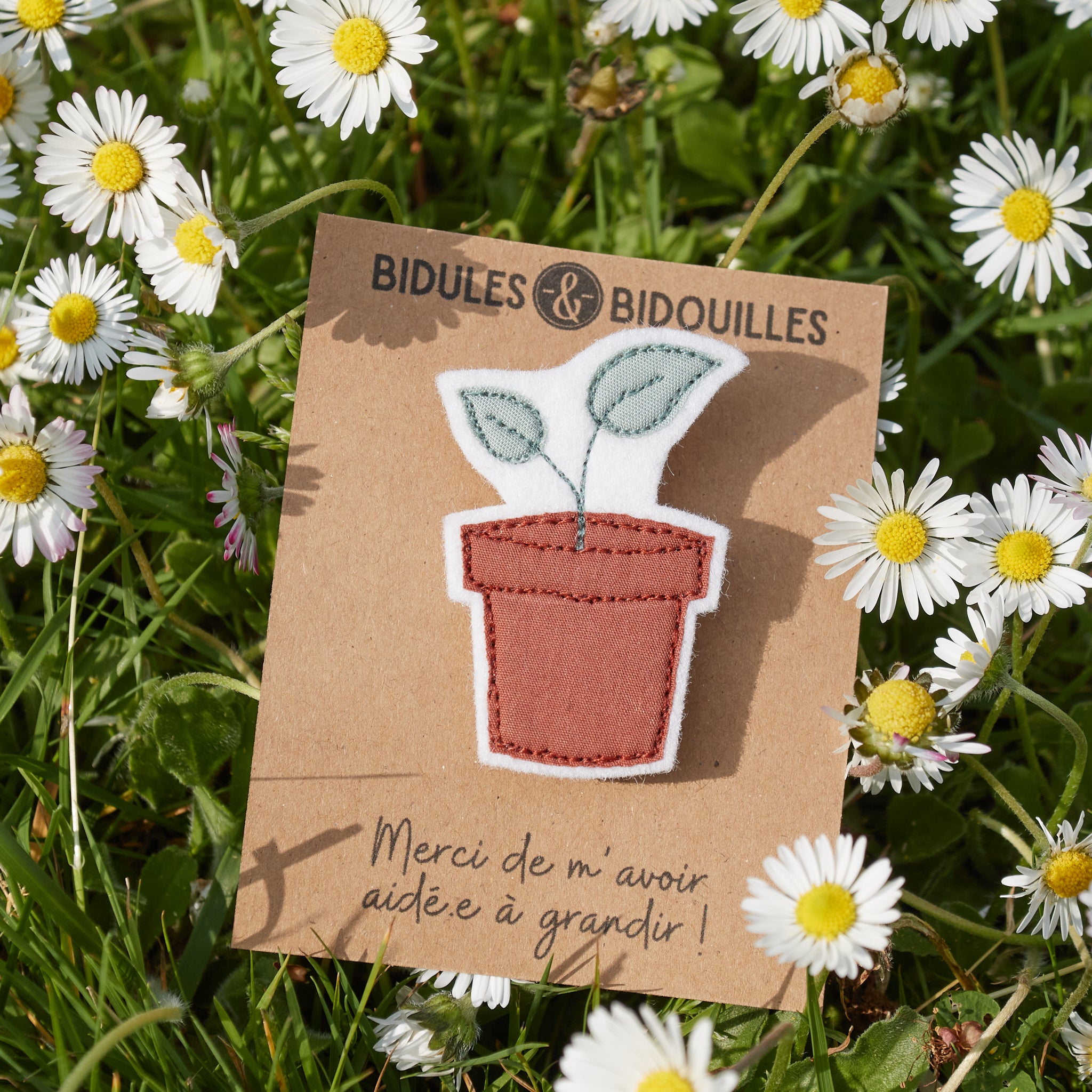 Petite plante (2 variantes) – broche