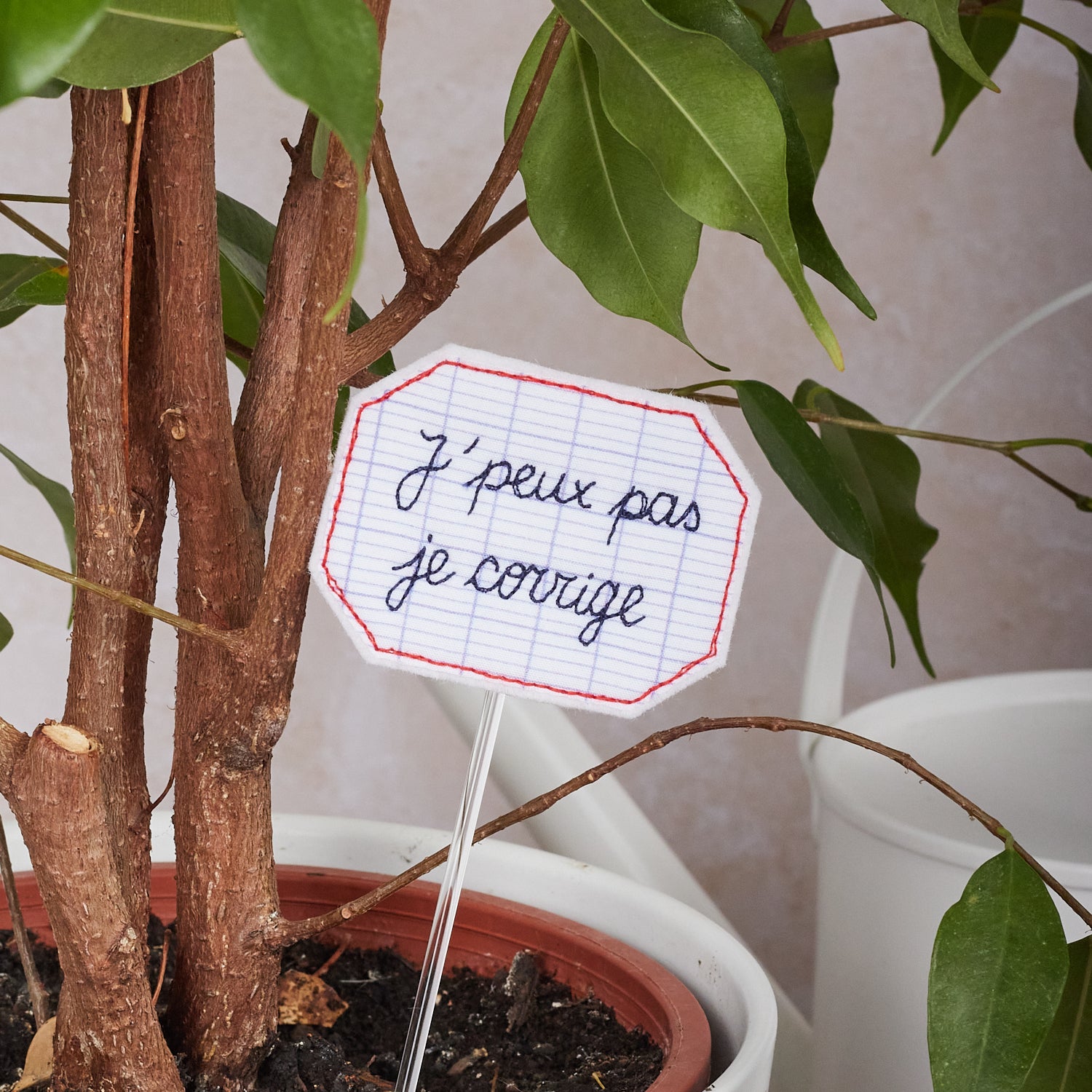 J'peux pas, je corrige – pique-plante