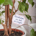 Charger l'image dans la visionneuse de la galerie, Révolution – pique-plante
