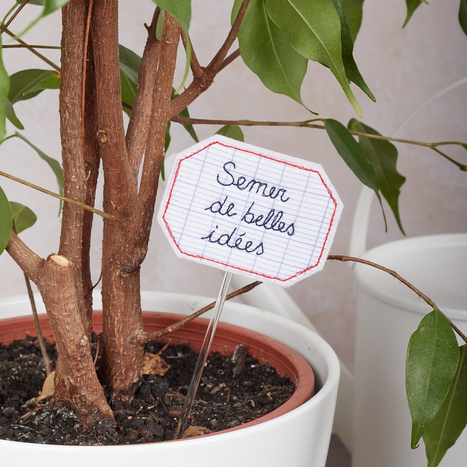 Semer de belles idées – pique-plante
