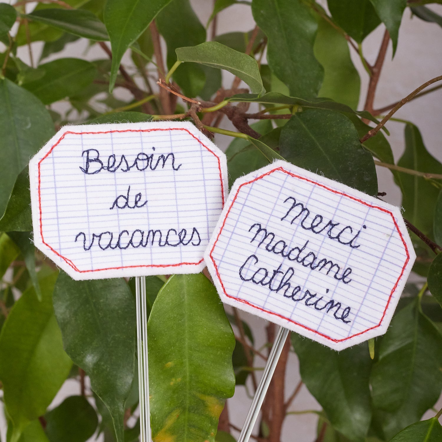 Étiquette à personnaliser – pique-plante