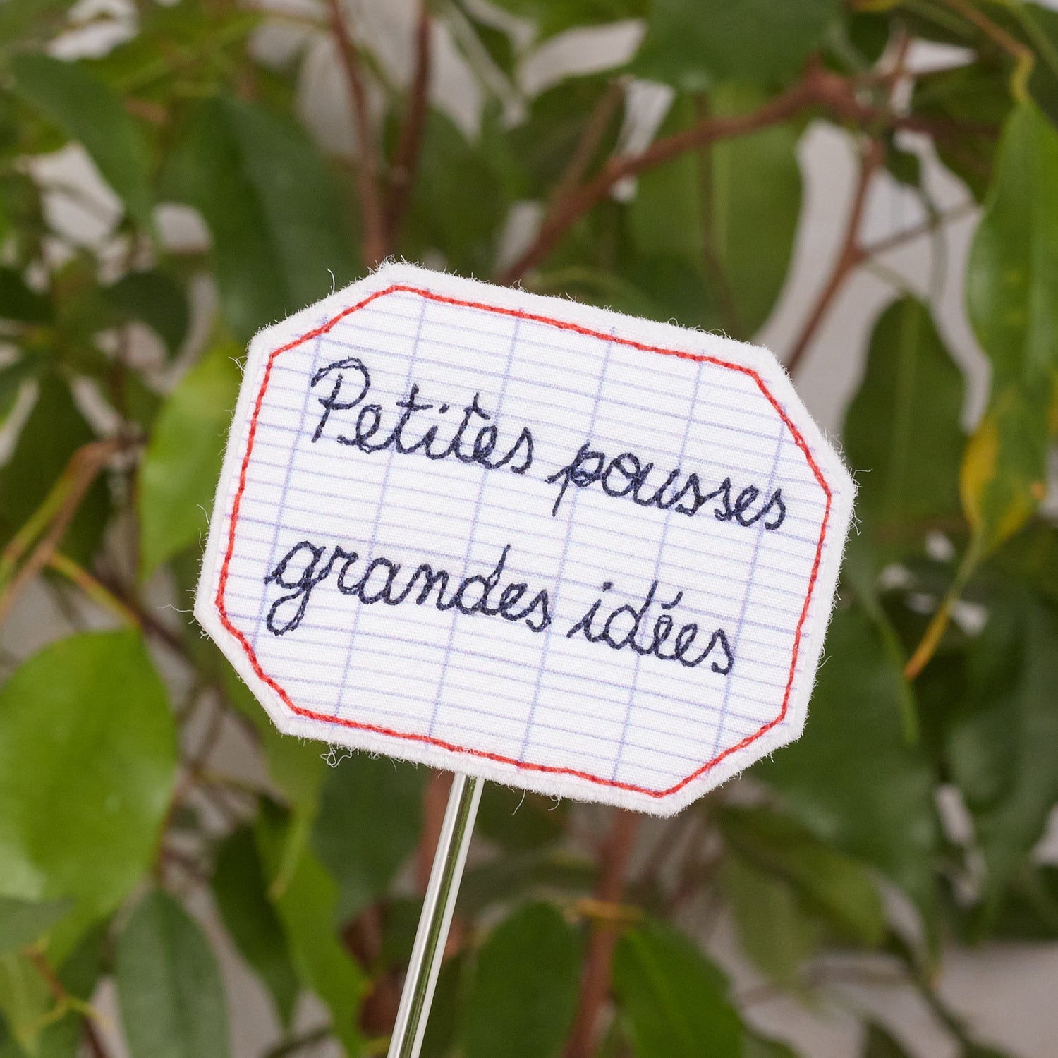 Petites pousses, grandes idées – pique-plante