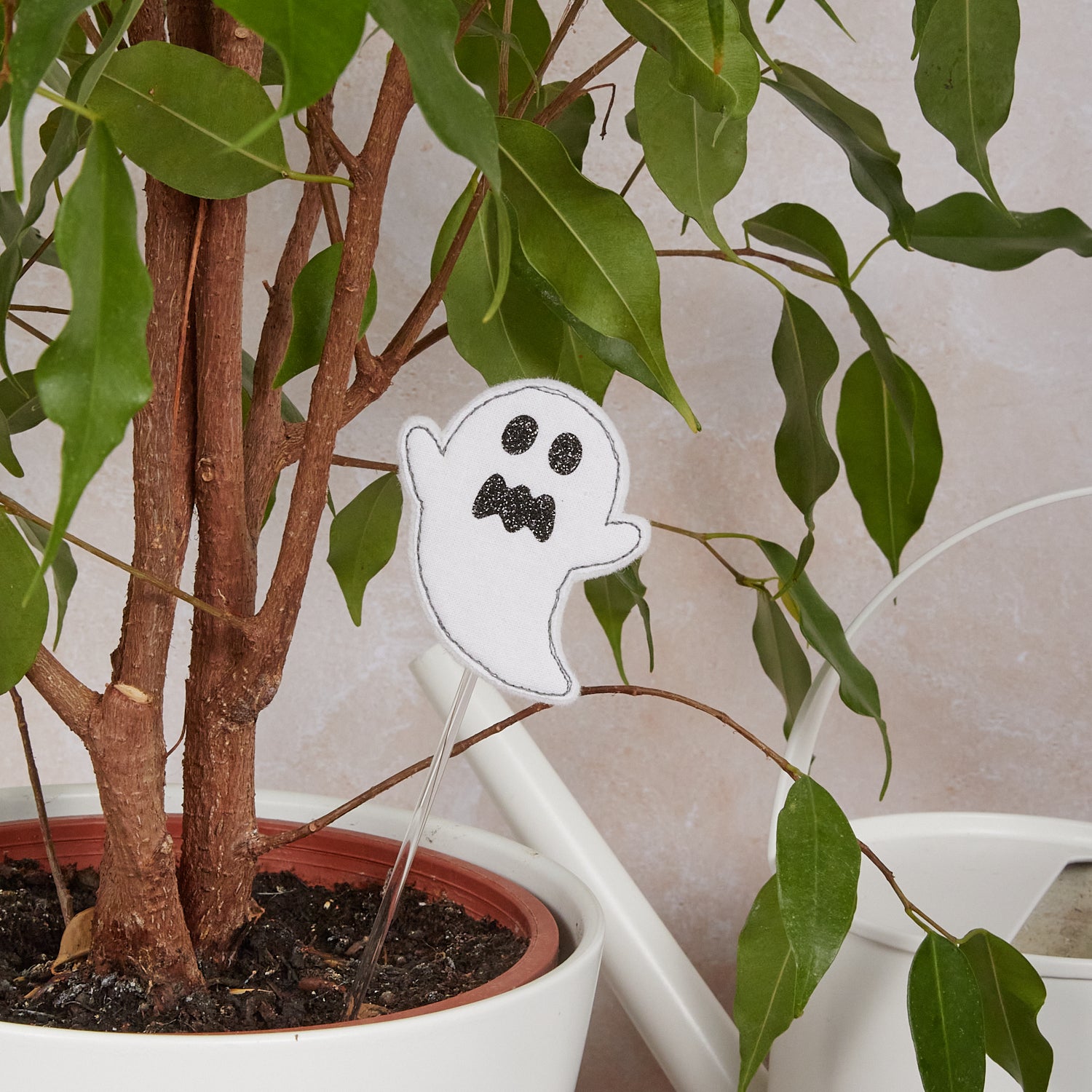 Pique-plante fantôme