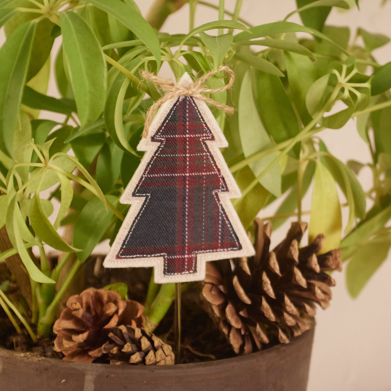 Sapin tartan (2 coloris) – pique-plante