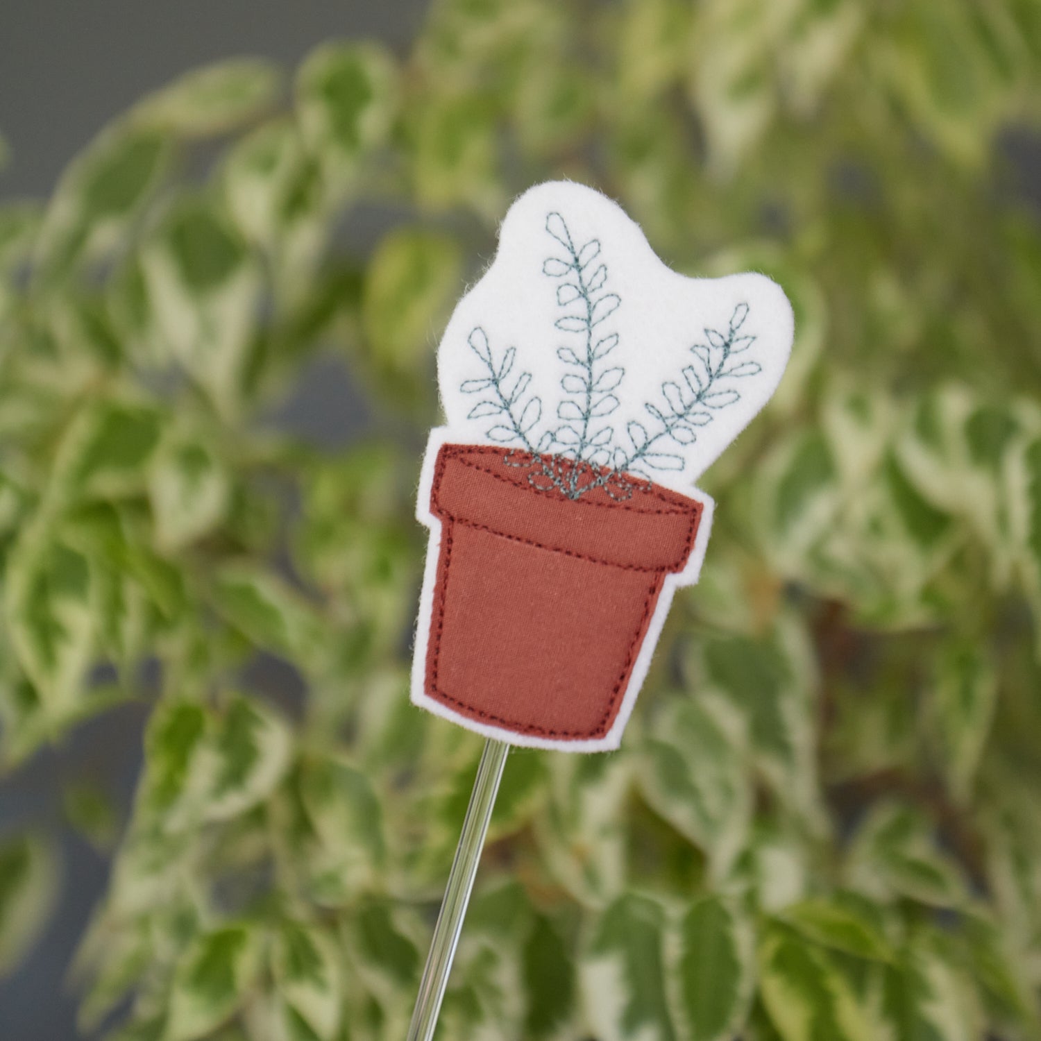 Petite plante (2 variantes) – pique-plante